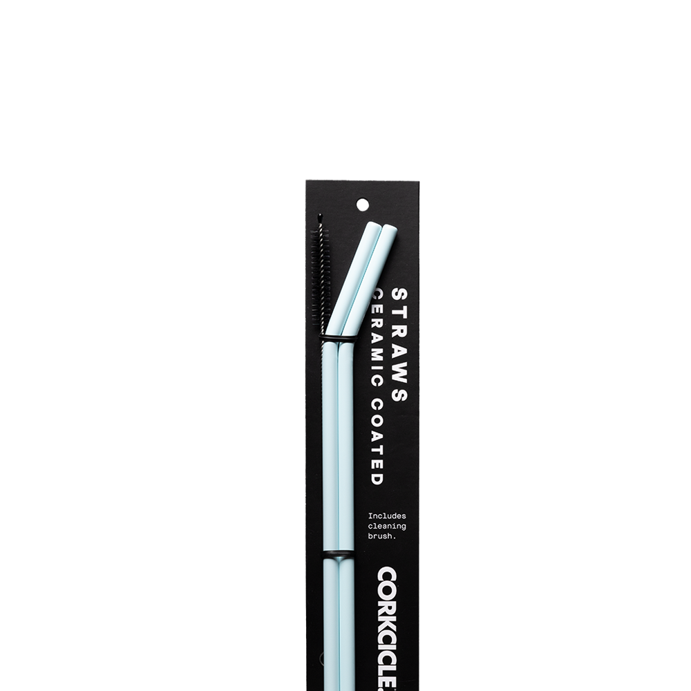 Ceramic Coated Straw Set - Handy Choice H1