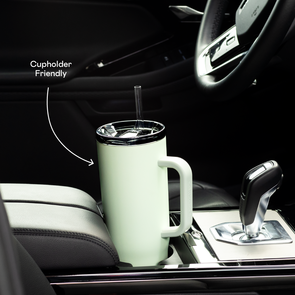 Cruiser - Daily Cup W6