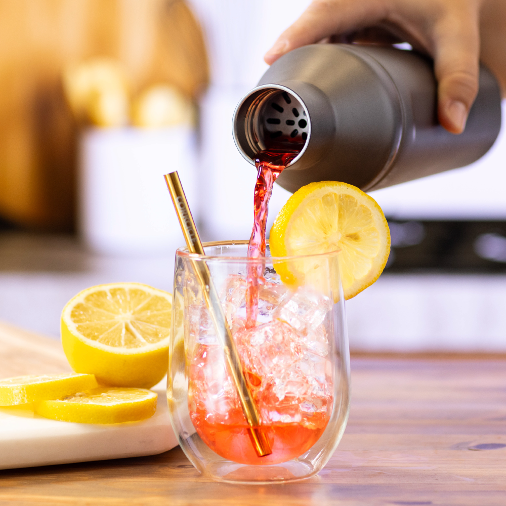 Cocktail Shaker - Lite Companion R4